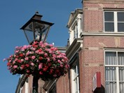 Leiden ’kleur en fleur’ 2